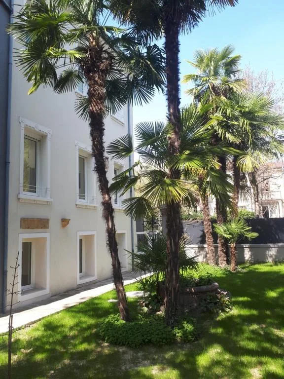 Villa Fiorentino — foto 5