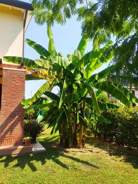 Wilma House — foto 3