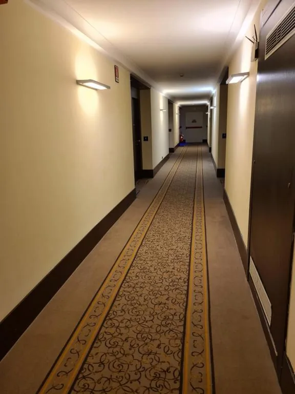 Vercelli Palace Hotel — foto 3