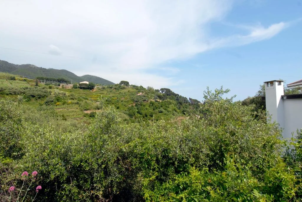 Villa Caribe affittacamere — foto 6
