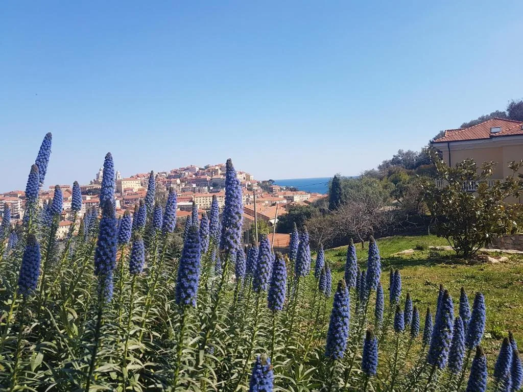 Villa Caterina — foto 7