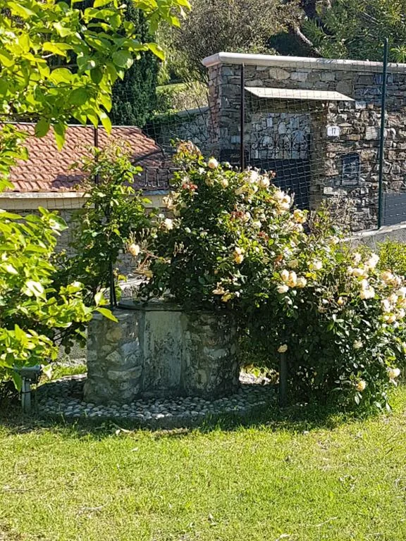 Villa Caterina — foto 8