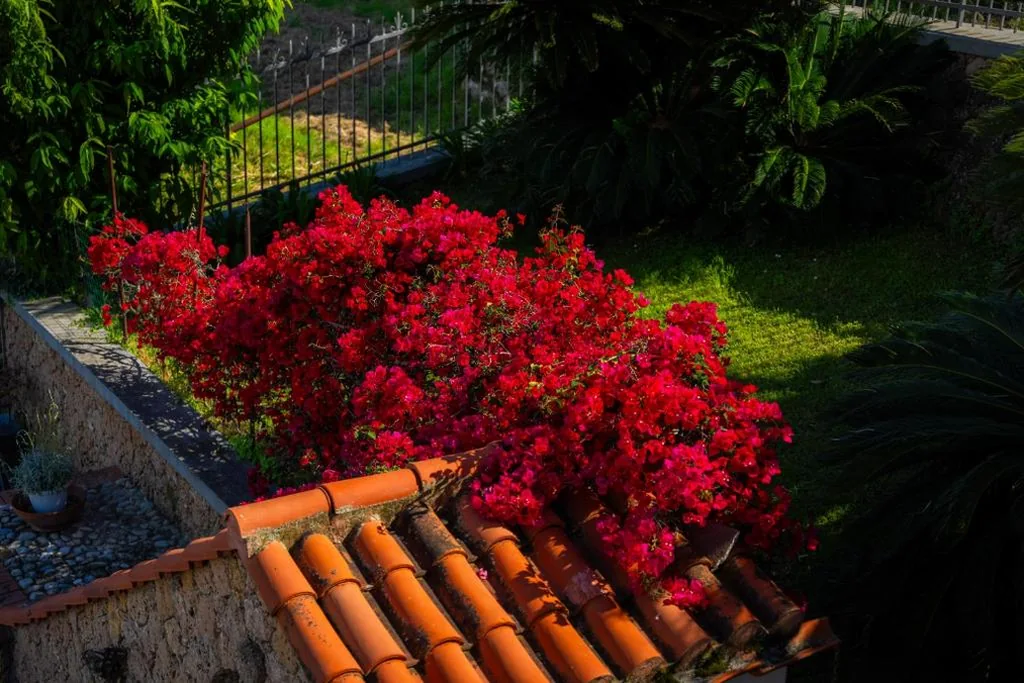 Villa Mafalda — foto 6