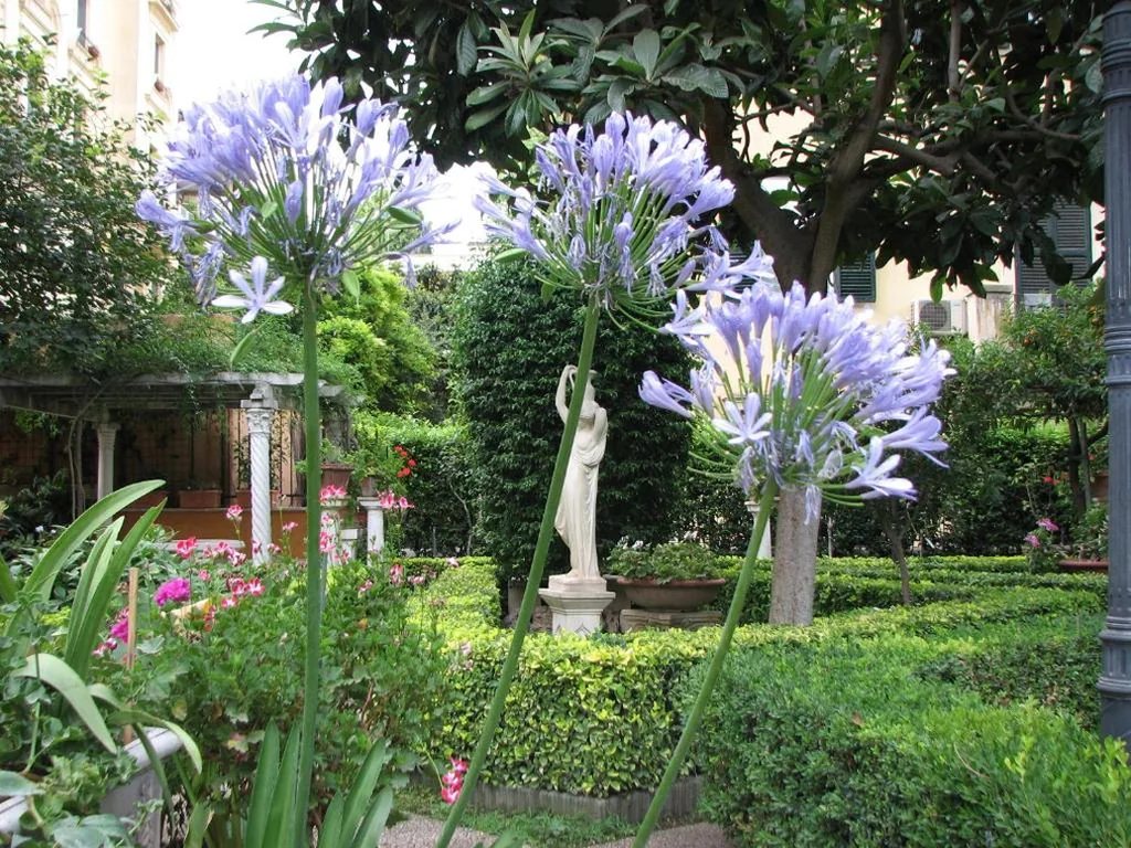 Villa Matissa — foto 8