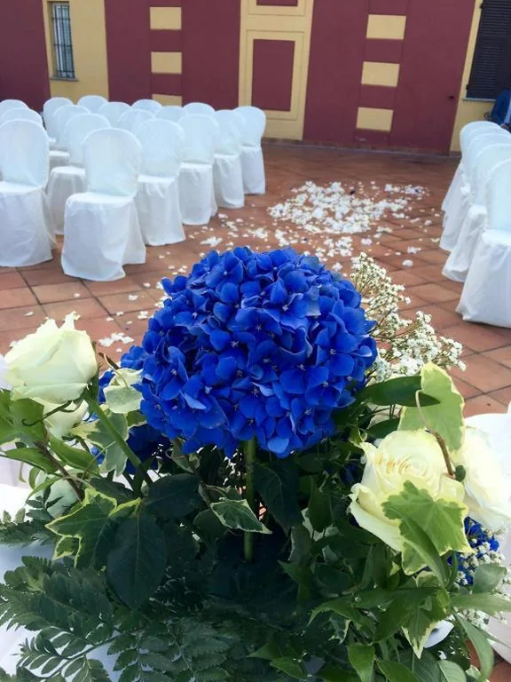 Villa Pallavicini B&B — foto 7