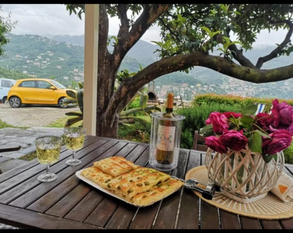 Villa Venino — foto 4