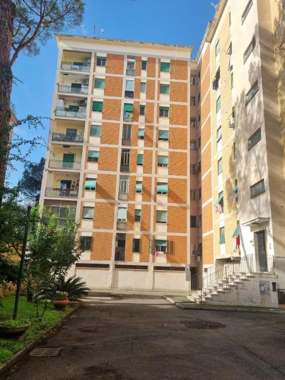 Viola Rooms Affittacamere — foto 6